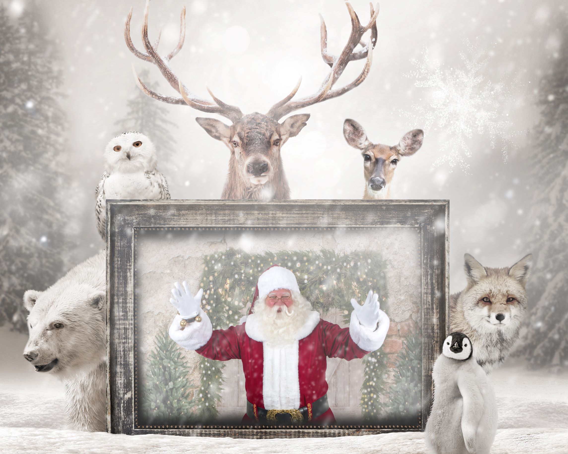 681e41a838027_P75071-ChristmasAnimal